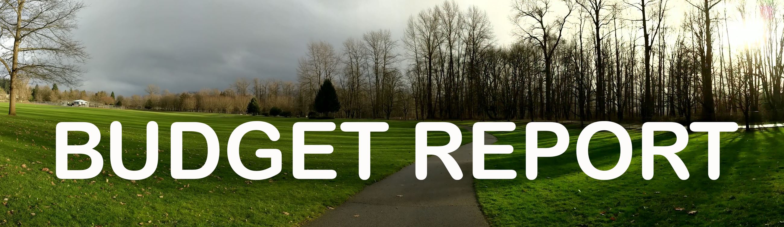 Budget Report Website Header