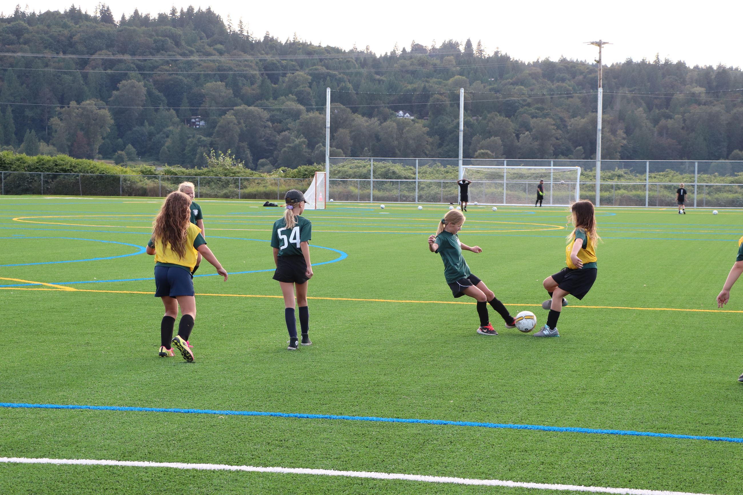 Lake Tye Field Soccer