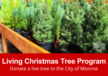 picture of live trees