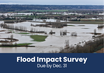 Floods Survey Image