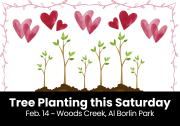Image for a Valentines Day Tree Planting at Woods Creek in Monroe.