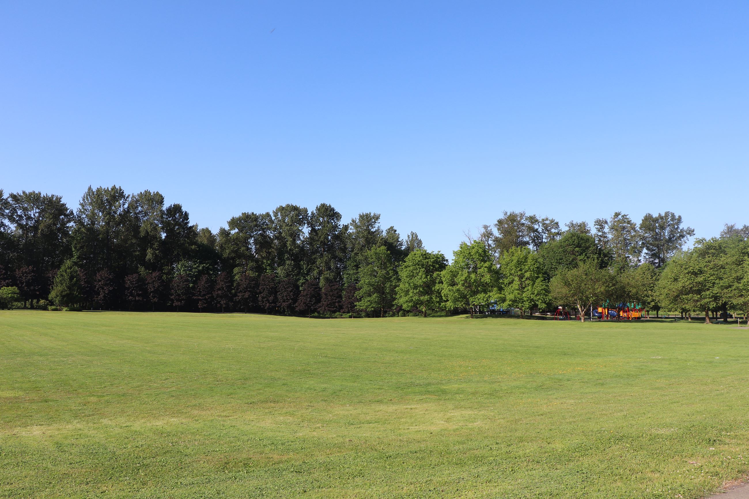 Skykomish River Park Soccer Fields