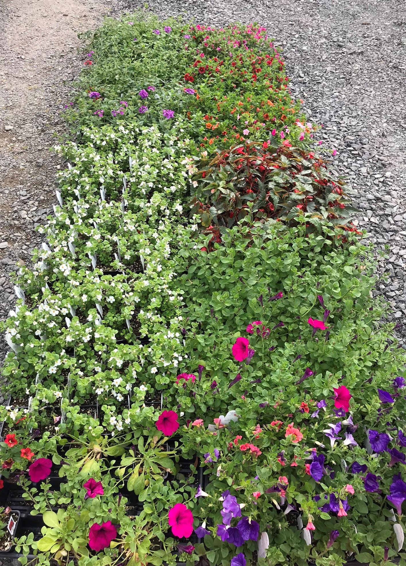 Flower Donations Opens in new window