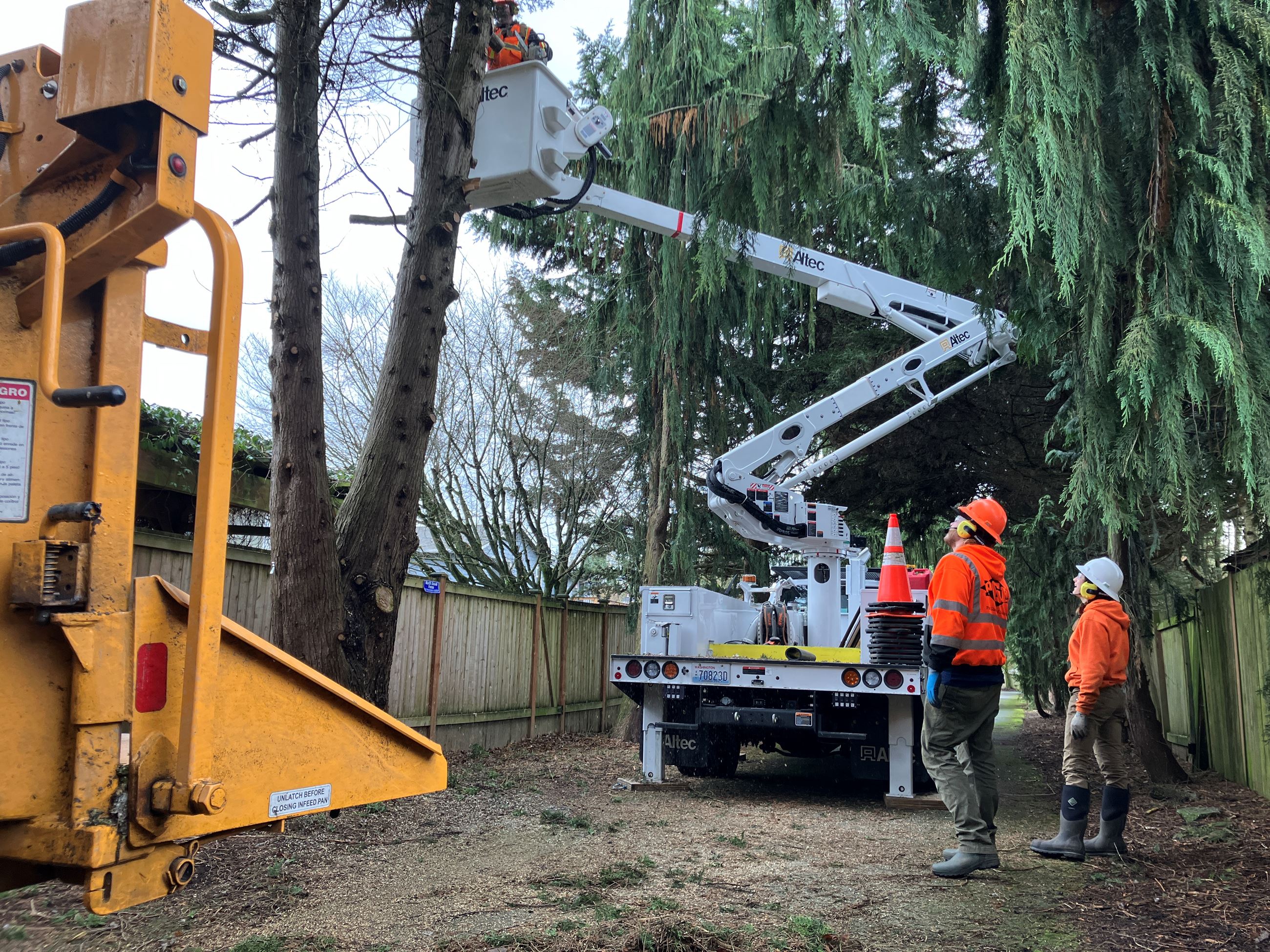 Parks Maint Tree Care