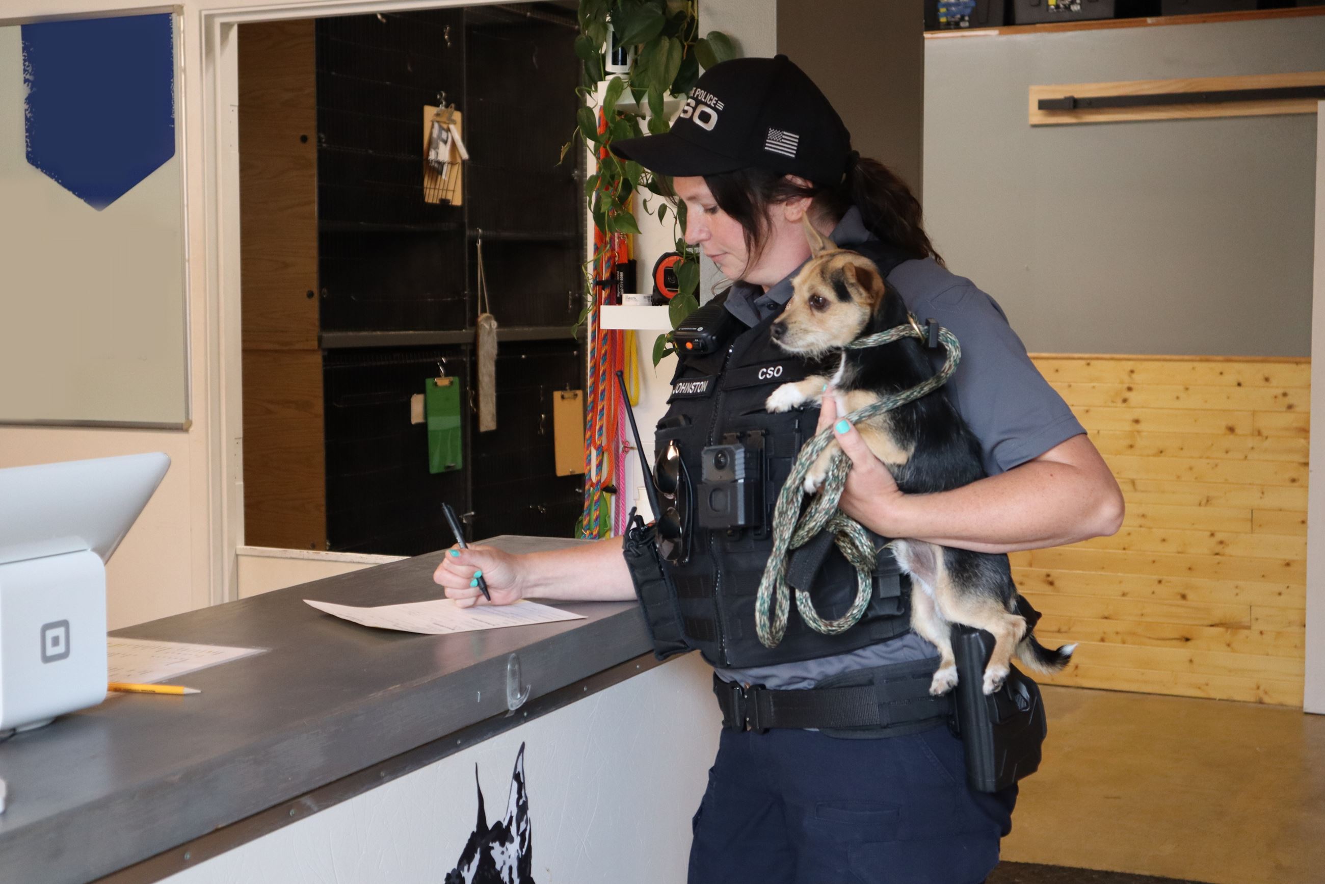 CSO Johnston-Kennel-Mod