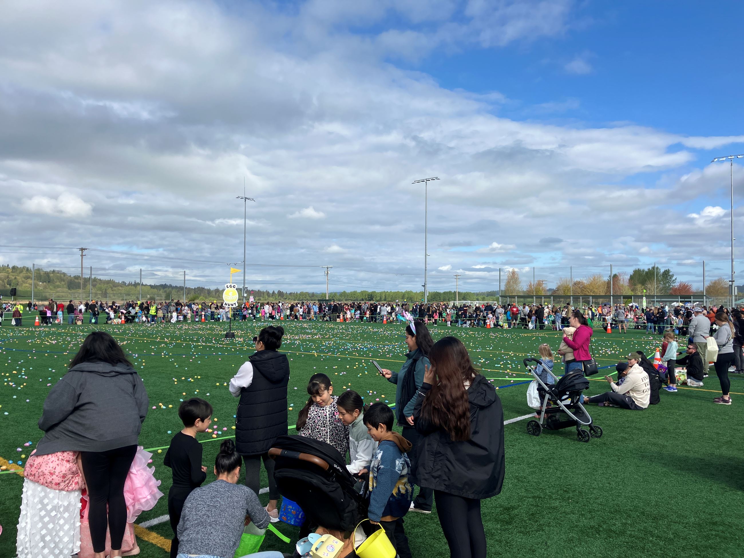 Picture of Monroe Community Egg Hunt field with eggs.